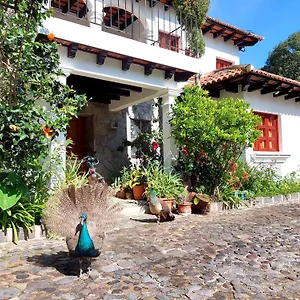 Y Jardines Casa Buho Antigua